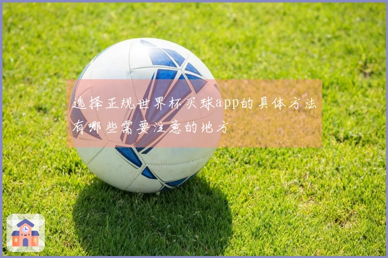 选择正规世界杯买球app的具体方法有哪些需要注意的地方