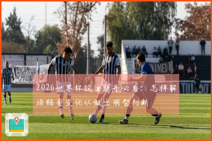 2026世界杯投注新手必看：怎样解读赔率变化以做出明智判断