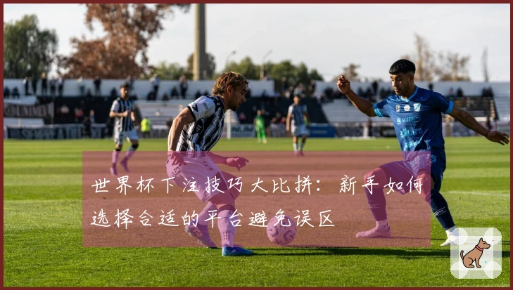 世界杯下注技巧大比拼：新手如何选择合适的平台避免误区