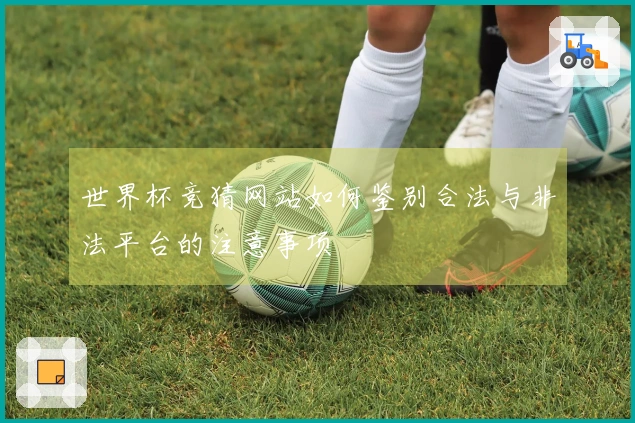 世界杯竞猜网站如何鉴别合法与非法平台的注意事项