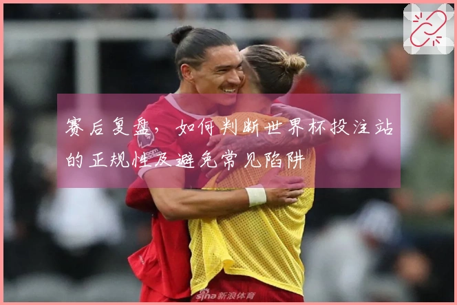 赛后复盘，如何判断世界杯投注站的正规性及避免常见陷阱